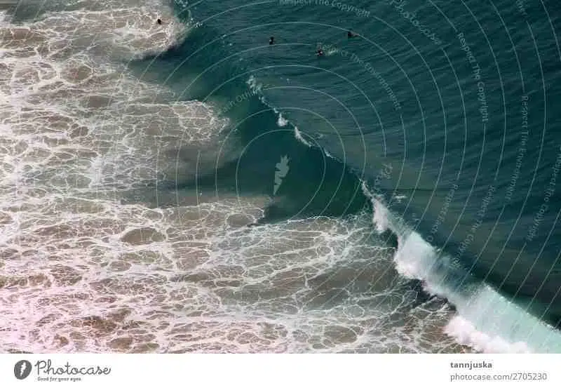Où est la plus grosse vague du monde ?